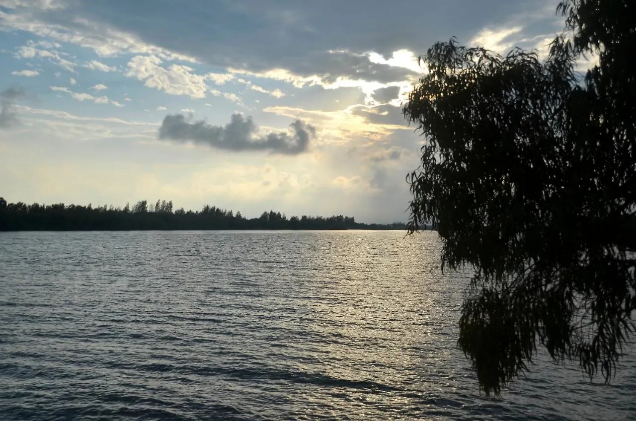 Bed & Breakfast River Dreams Deltebre Spain