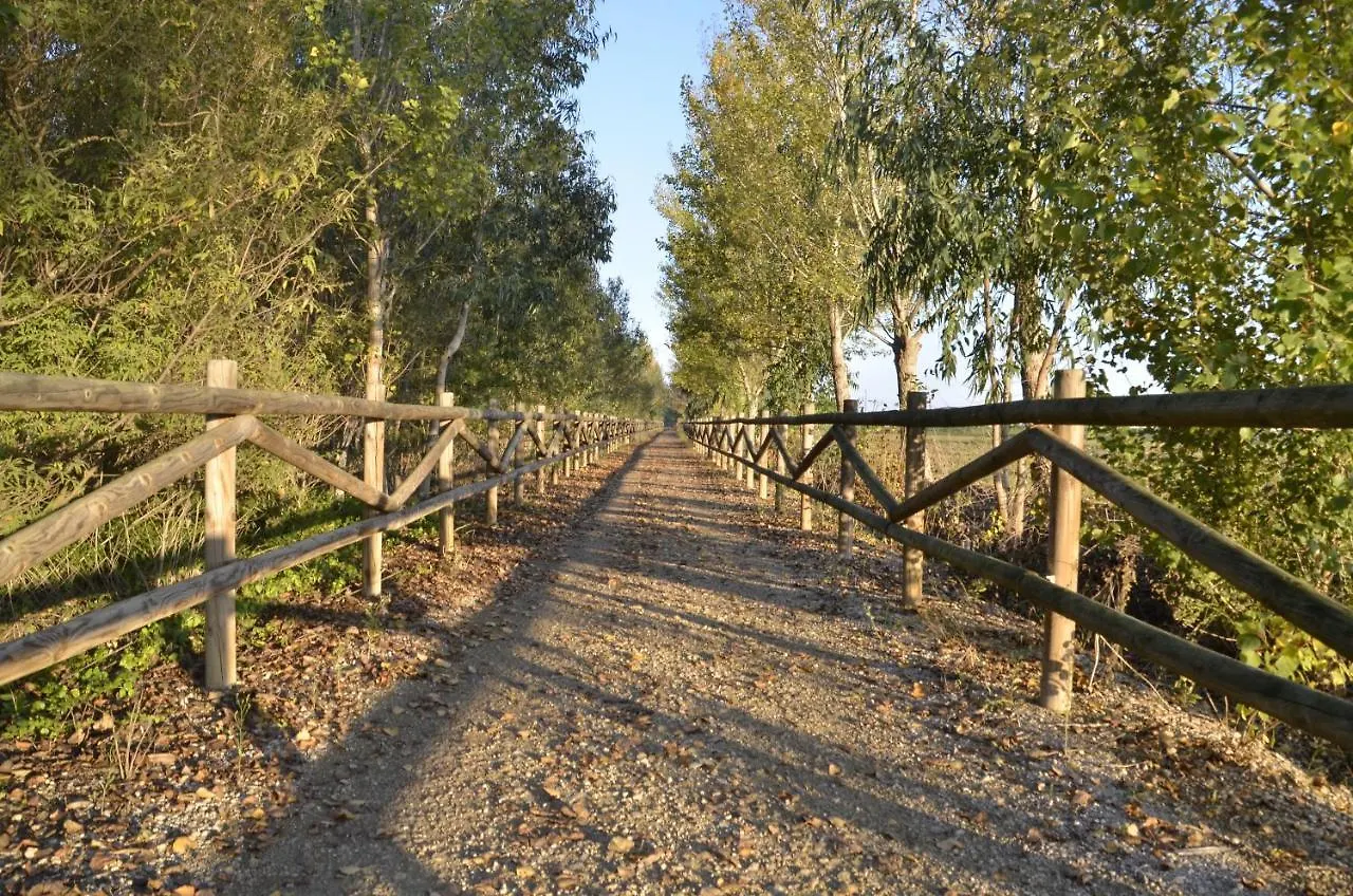 River Dreams Deltebre