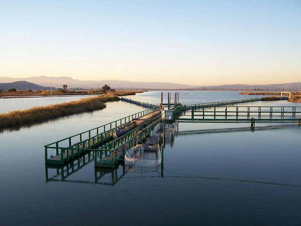 Bed & Breakfast River Dreams Deltebre